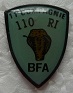 110RI11CIE PINS-2.jpg