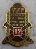 12RAALG PINS-2.jpg