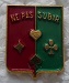 14DLB PINS-2.jpg