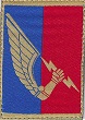 19BRIGARTI TISS-2.jpg