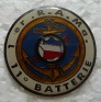 1RAM11BIE PINS-2.jpg