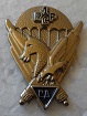 1RCPCA PINS-2.jpg