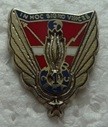 1RICECAC PINS-2.jpg