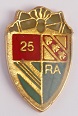 25 RA PINS-2