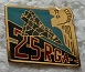 25RGA PINS-2.jpg