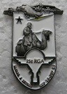 25RGA2 PINS-2.jpg