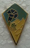27BIM PINS-2.jpg