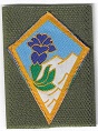 27CAMLISJONQ TISS-2.jpg