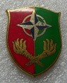 2DIVOLEOOTAN PINS-2.jpg
