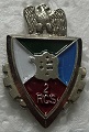2RCS PINS-2.jpg