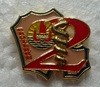 2RMEDPROT PINS-2.jpg