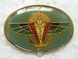 2RPIMA PINS-2.jpg