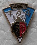 34RG PINS-2.jpg