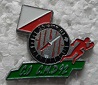 35RICO PINS-2.jpg