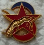 3DBEED PINS-2.jpg