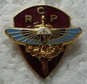 3RCP PINS-2.jpg