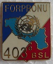 403 BSL PINS-2