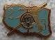 43BT2CIE PINS-2