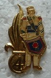 4RETAMB PINS-2.jpg