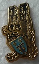 58RT3 PINS-2.jpg