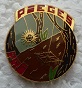 6BIMAPIEGES PINS-2.jpg