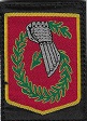 6BLB TISS-2.jpg