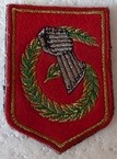 6DLB3 TISS-2.jpg