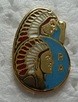 6RA PINS-2.jpg