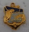 72RIMA PINS-2.jpg