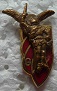 9RCP PINS-2.jpg