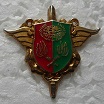 BASEPETROIA PINS-2.jpg