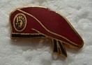 BERETROUGE PINS-2.jpg