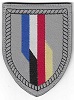 BFA2 TISS-2.jpg