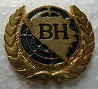 BH1 PINS-2.jpg
