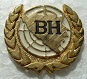 BH2 PINS-2.jpg