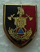 BMSC PINS-2.jpg