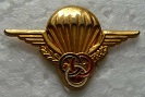 BREVCHUT PINS-2.jpg