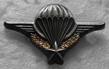 BREVETPARA PINS-2.jpg