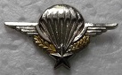 BREVPARA3 PINS-2.jpg