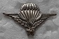 BREVPARAVIS PINS-2.jpg