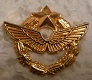 BREVPIL PINS-2.jpg