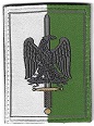 BRIGLOG TISS-2.jpg