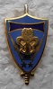 BRIGTRANS PINS-2