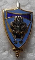BRIGTRANS2PINS-2.jpg