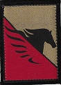 CAPR TISS-2.jpg