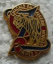 CECGIVET PINS-2.jpg