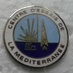 CEM PINS-2