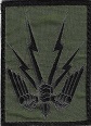 CFTBV TISS-2.jpg