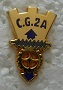 CG2A PINS-2.jpg