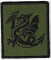CHIMEREBV TISS-2.jpg